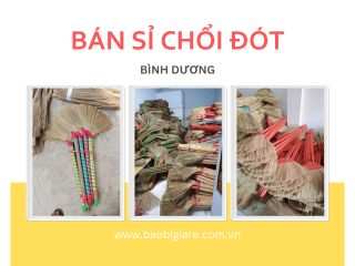 Bán sỉ chổi quét nhà ( chổi đót ) tại Bình Dương