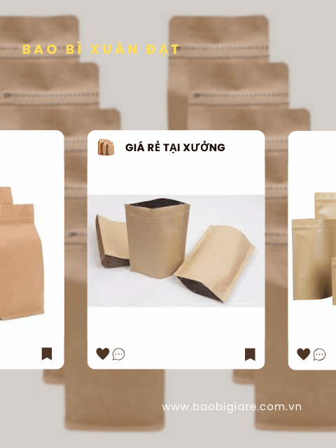 Túi zipper giấy kraft 2 mặt giấy